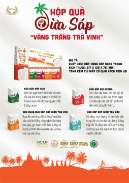 [QUÀ TẾT VICOSAP] SANG - TIẾT KIỆM - TINH TẾ